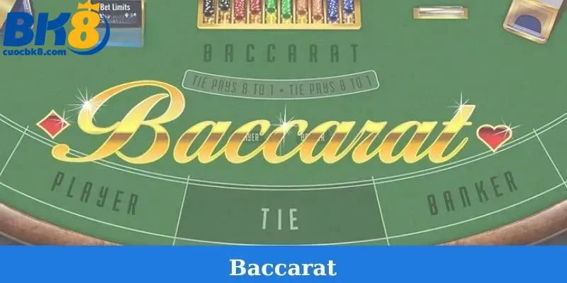 baccarat-bk8-casino