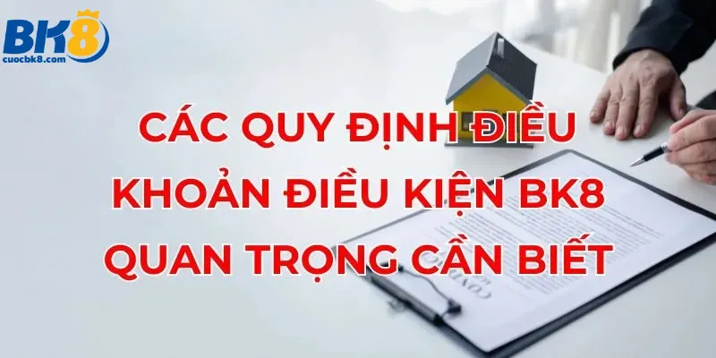 cac-quy-dinh-dieu-khoan-dieu-kien-bk8-quan-trong-can-biet