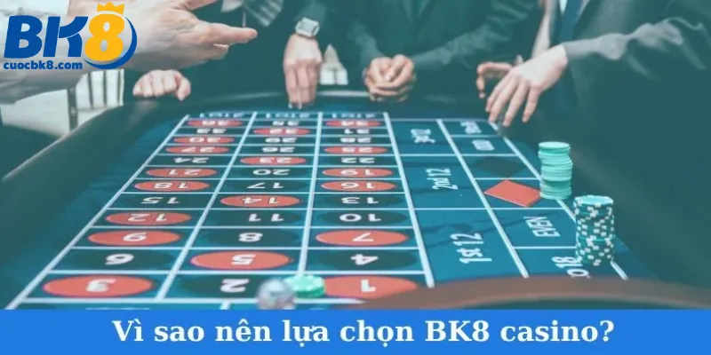 vi-sao-nen-lua-chon-bk8-casino