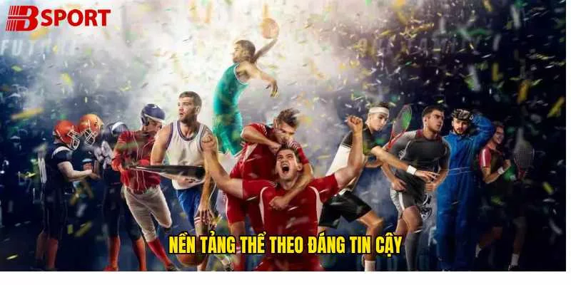 nen-tang-the-thao-dang-tin-cay